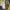 Timberland boots icon  photo 7
