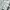 ZARA Vintage Casual shirt Pria white photo 2
