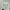 Cardigan Crop Rajut Korea Putih Cardigan Outer Knit Hollow photo 4