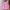 gingham top pink babydoll ruffle photo 1