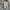 Nike Streetwear Sportswear Sweatpants & Joggers Pria gray photo 4