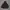 Puffer Jacket by Ecrire photo 2