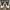 sepatu adidas Yeezy 700 V3 Mono salfflower photo 1