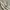 Japanese brand Vintage Avant Garde Pria tan photo 3