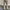 Japanese brand Vintage Avant Garde Pria tan photo 2