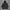 Puffer Quilted Jacket By Aller Bien