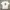 Convers Tee