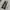 Y2K Avant Garde Flare pants Wanita brown photo 3