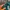 Vintage Y2K Hat Pria green photo 3