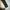 Adidas Streetwear Sportswear Track jacket Pria black cream photo 8