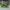 Nike Streetwear Skater Sneakers Wanita green photo 1