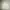 Urban Research Minimalist Casual Denim jacket Pria cream photo 1