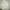 Urban Research Minimalist Casual Denim Jacket Pria Cream