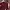 Biker Casual Bomber jacket Pria burgundy white photo 2