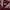 Biker Casual Bomber jacket Pria burgundy white photo 3