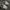 New Balance Gorpcore Casual Sneakers Pria white gray photo 6