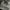 New Balance Gorpcore Casual Sneakers Pria white gray photo 2