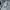 Adidas Uplife Tricot Adidas photo 8