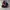 Adidas Flower Tapped TRACTOP  photo 2