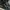 Converse Emo Indie Sneakers Pria white black photo 2