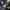 Converse Emo Indie Sneakers Pria white black photo 6