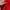 Adidas Red 3stripes Tracktop  photo 8