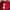 Adidas Red 3stripes Tracktop  photo 7