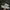 VANS Indie Casual Sneakers Pria green cream photo 1