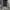 Semantic Design Double Zipper Wool Jacket photo 7