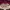 nike jordan mvp vasrity  photo 1