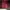 Sweatshirt Crewneck Basic red maroon scent photo 2