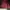 Sweatshirt Crewneck Basic red maroon scent photo 5