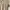 Polo Ralph Lauren Coksu Womens Fitted Polo Shirts Beige Old photo 3