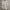 Kappa Sportswear Windbreaker Pria white photo 4