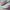 Puma Emo Casual Sneakers Wanita green pink photo 2