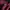 Sweatshirt crewneck basic red tate  boxy photo 3