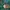 Futurist Hat Pria green photo 5