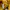 ADIDAS OUTDOR photo 7