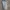 Levi's photo 4
