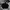 TRACKTOP ADIDAS FIRE BRID BLACK WHITE photo 1