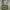 Vintage Green Military Messenger Bag photo 1