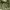 Vintage Green Military Messenger Bag photo 3