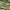 Vintage Green Military Messenger Bag photo 2