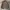 Maison MIHARA YASUHIRO Streetwear Casual Denim jacket Pria tan photo 2