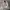 Maison MIHARA YASUHIRO Streetwear Casual Denim jacket Pria tan photo 1