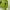 Millet Outdoor Jacket Baselayer Gorpcore photo 2
