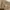 Polham Minimalist Casual Polo shirt Pria tan photo 2