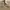 Polham Minimalist Casual Polo shirt Pria tan photo 3