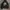 Hoodie LMC not carhartt fucking awesome noah stussy bitch al photo 2