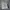 H&M Streetwear Casual Sweatshirt Wanita gray photo 3